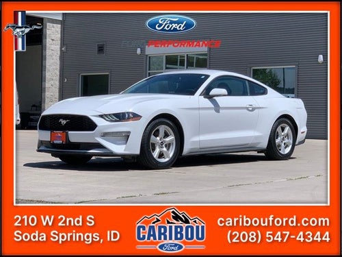 2019 Ford Mustang EcoBoost