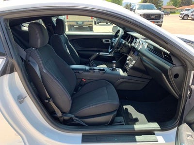 2019 Ford Mustang EcoBoost