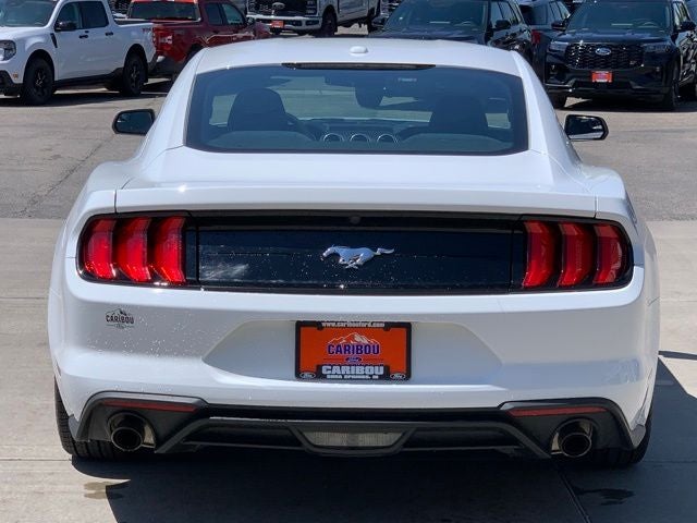 2019 Ford Mustang EcoBoost