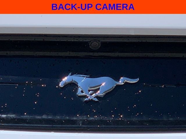 2019 Ford Mustang EcoBoost