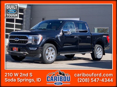 2021 Ford F-150 Platinum