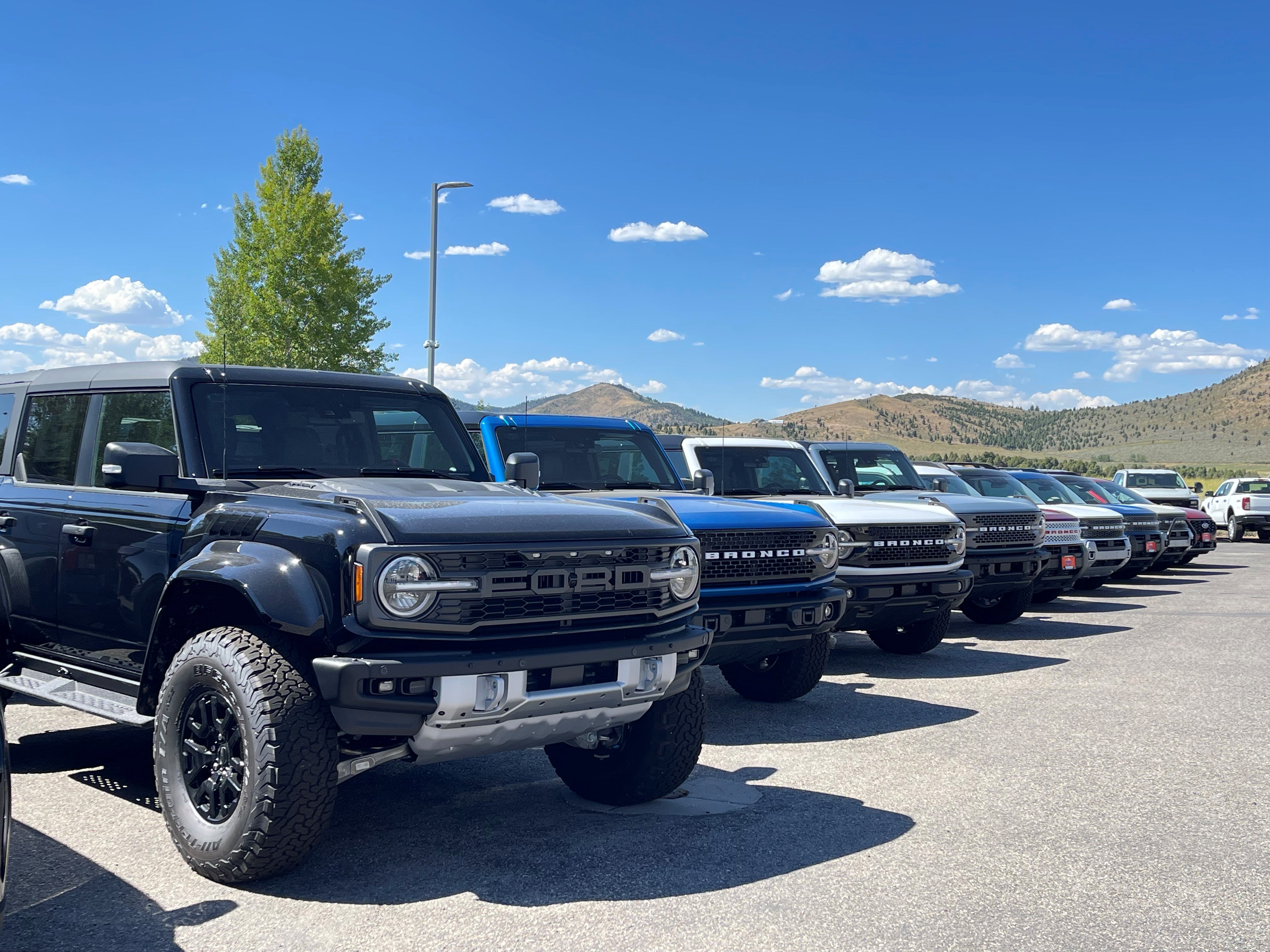 Sales Support